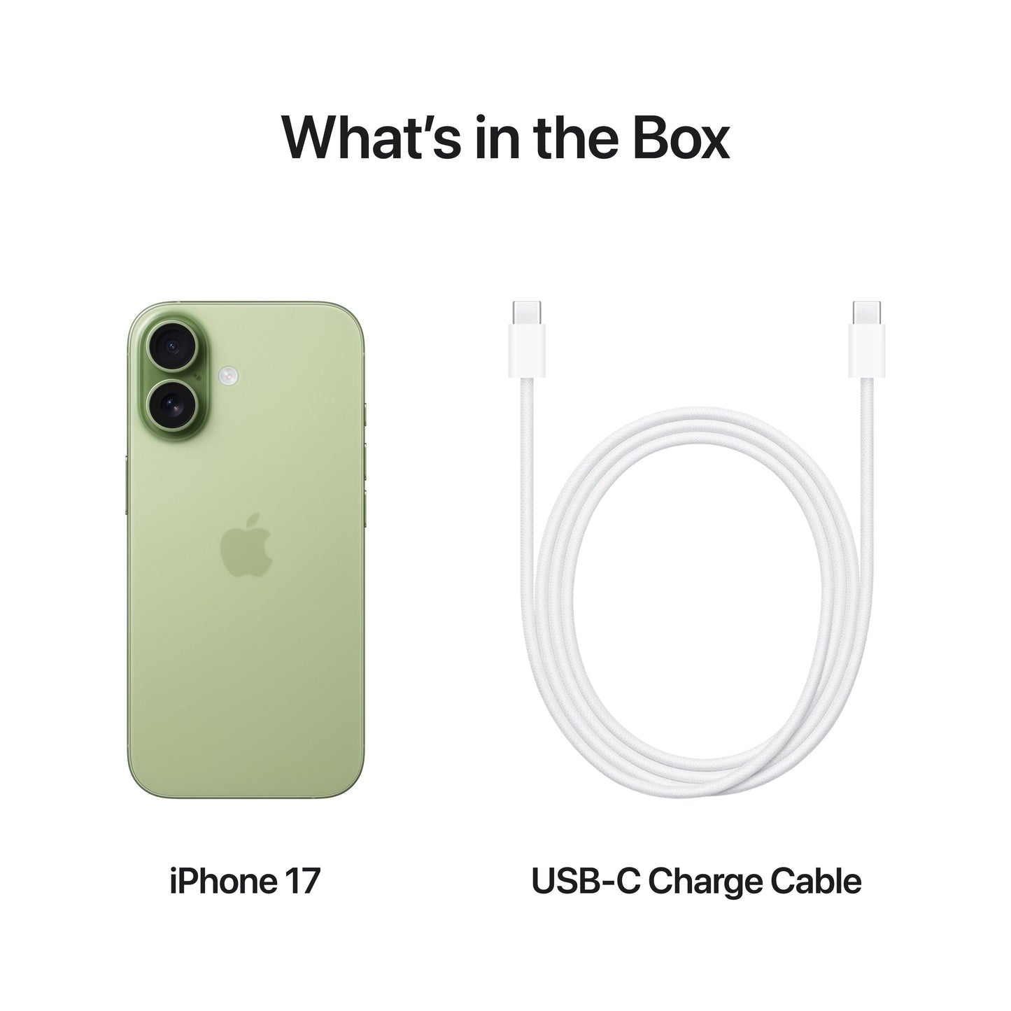 iPhone_17_Sage_PDP_Image_Position_8__GBEN